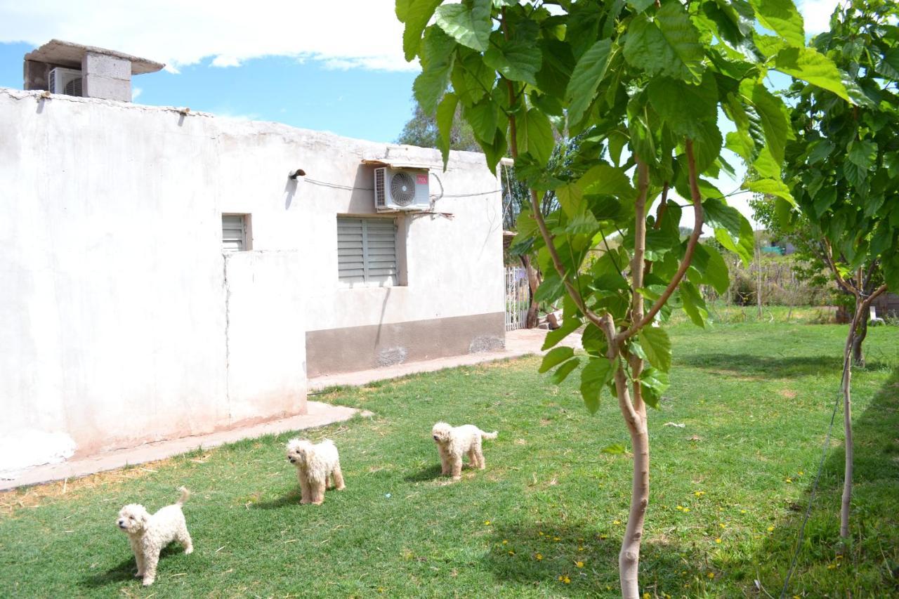Hospedaje Las Termas Fiambala Exterior photo